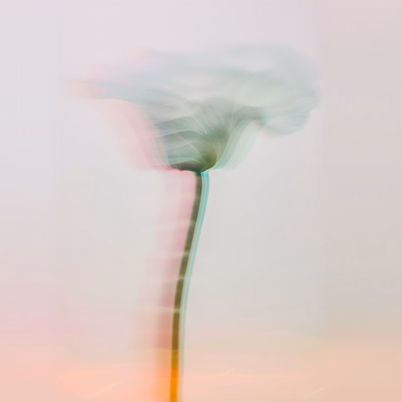 About Image